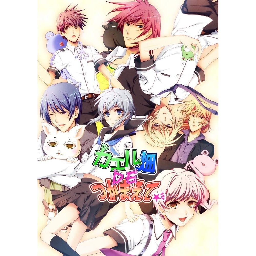 KAERU BATAKE DE TSUKAMAETE (gebraucht) Switch