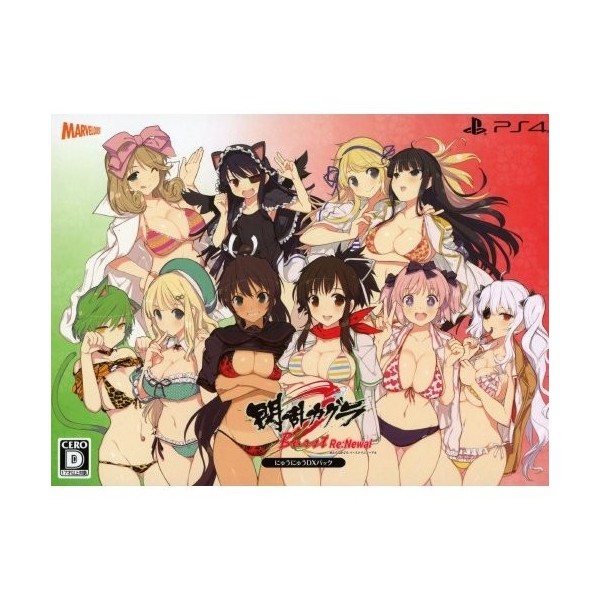 SENRAN KAGURA BURST RE:NEWAL [NYUU NYUU DX PACK] (pre-owned) PS4