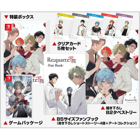 Requartz Raid [Limited Edition] Switch (gebraucht)