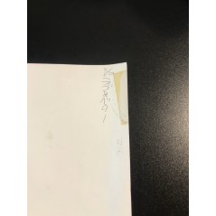 Oshare Majo Love and Berry DS Videogame Promo Poster